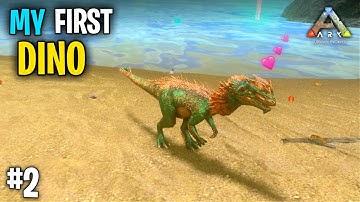 Finally I tame my first DINO