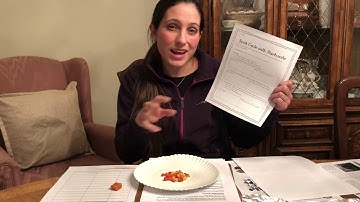 CC1 Wk 23 Science Rock Cycle