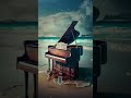 Piano on the Sea