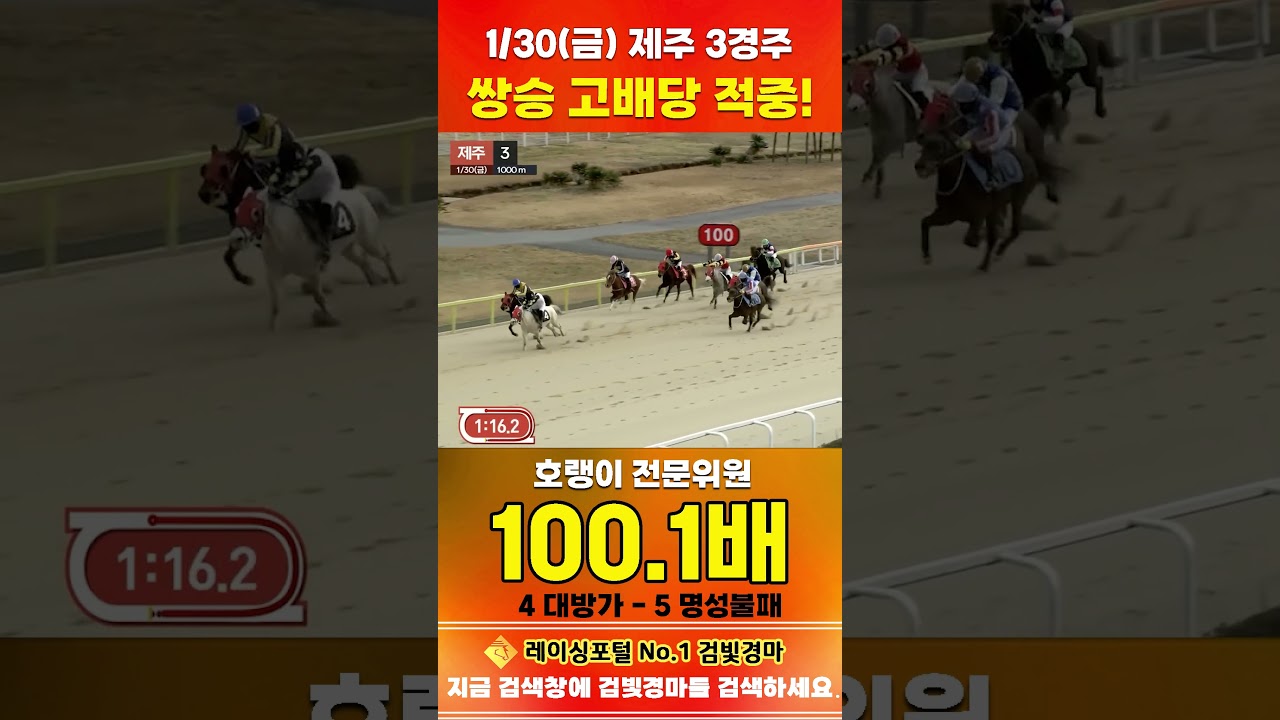 [제주 경마] 1월 30일 금요 3경주 호랭이 전문위원 쌍승 고배당 적중 #한국마사회 #horse #경마 #automobile #하이라이트 #비트코인 #게임 #뉴스 #riding