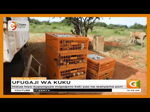 Video: Wakulima wanawezaje kuharibu udongo wao?