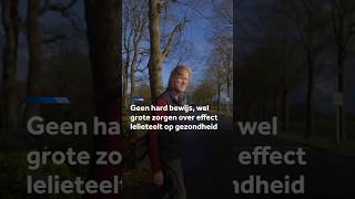 Thumbnail for Geen hard bewijs, wel grote zorgen over effect lelieteelt op gezondheid