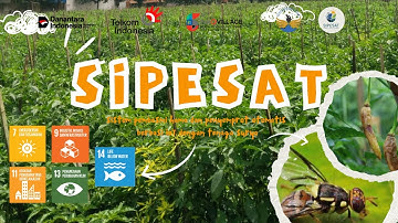 INNOVILLAGE 2025 - Sistem Pembasmi Hama  Berbasis IoT - Universitas Tidar - Girikulon - Jawa Tengah