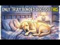 15 Things Dogs ONLY Do With The Person They Love Like A Mother
