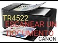 Impresora Canon TR4522 escanear un documento.