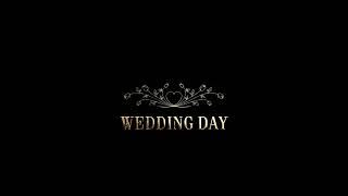 Footage. Wedding day. Alpha channel. Футаж. Свадебный день. Альфа канал