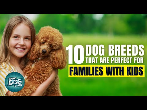 10 Dog Breeds That Are Perfect For Families With Kids