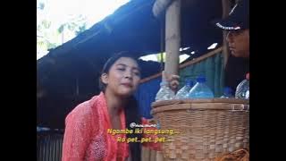 story woko channel || jamu sorengat || lucu