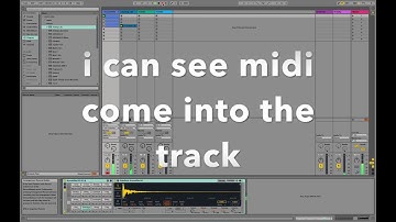 ableton live arrange record overdub clip question