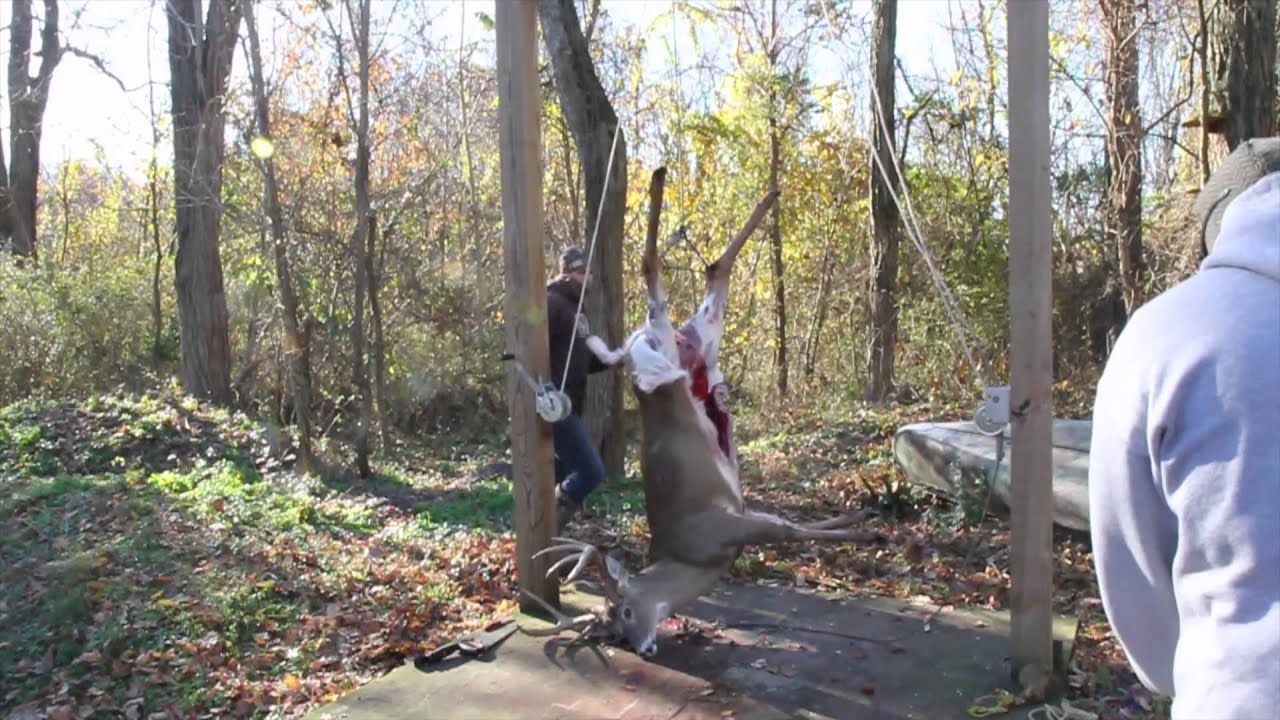 Skinning a big buck on the deer skinning station YouTube