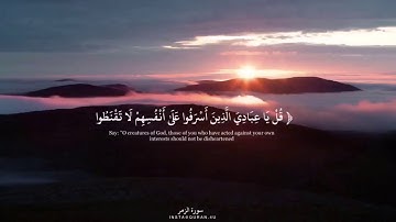 سورة الزمر|القارئ :صلاح المصلي