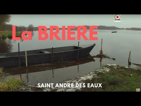 SAINT-ANDRE-DES-EAUX  |  🇫🇷 La Briere en Hiver - Télé LA BAULE