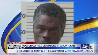 Downtown Mobile attack follow