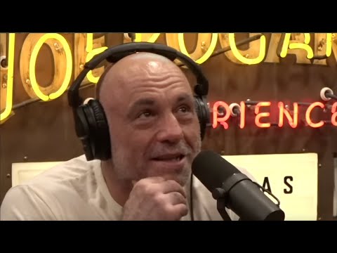 Joe Rogan Khabib Is Addicted To Discipline