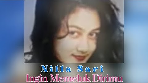 INGIN MEMELUK DIRIMU || Nila Sari (video lirik)