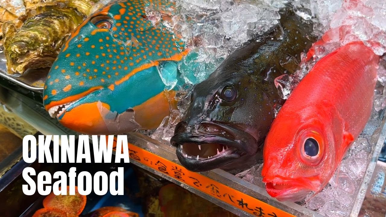 ⁣GIANT PARROTFISH SASHIMI in Okinawa | Japanese Street Food