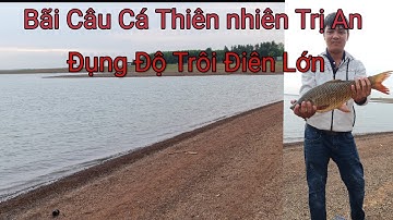 Bãi Câu Nhiều Loại Cá Tại Trị An - Đụng Trôi lớn