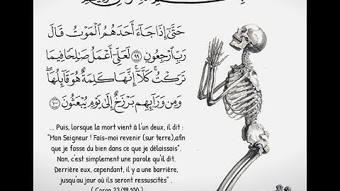 سورة سبأ بصوت الشيخ محمد إرشاد مربعي صوت جميل مشاء الله