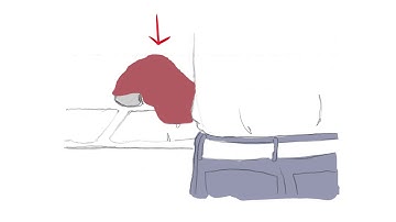 CAGD 345: Project 1 Animatic