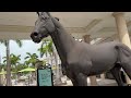 Gulfstream Park - Hallandale Beach Florida - walking tour June 2025