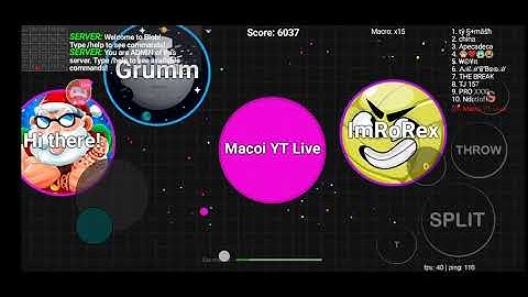Blob.io Private Server gameplay Live