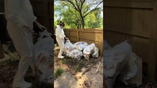 Another day of digging out of dad’s house and overcoming obstacles 🙃 #hoardingcleanup #hohohoarde