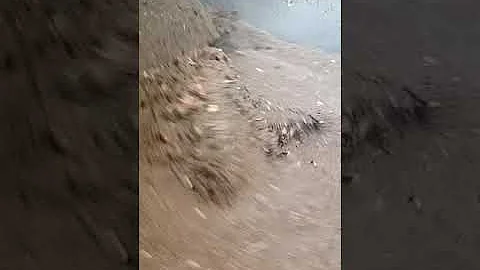 Quanto vale la carta riciclata?