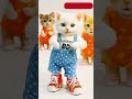 Dudi Dudi Dam Dam Cat Dancing Short Shortsfeed Cat Dudidudidam Dudidudidamdam Cocomelonbunny Dudi Dudi Dam Dam Cat Dancing Short Shortsfeed Cat Dudidudidam Dudidudidamdam Cocomelonbunny