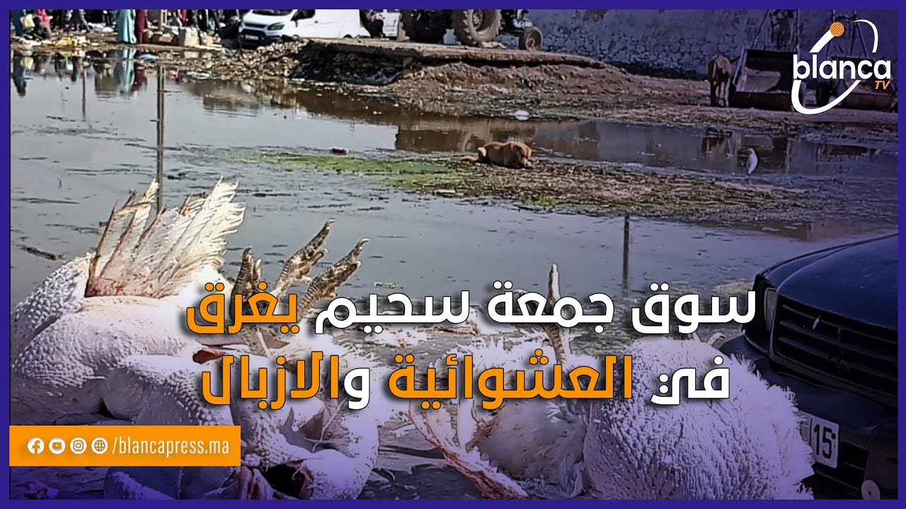 آسفي.. سوق جمعة سحيم يغرق في العشوائية والازبال