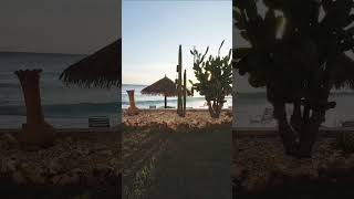 Casa del Mar Aruba Beachfront screenshot 1