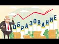 Обучающие мультфильмы инфографика - заказать цена ролика по ссылке.