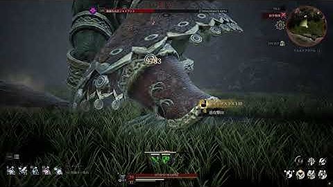 【BLESS UNLEASHED】Crusader DPS check（The Lionheart）