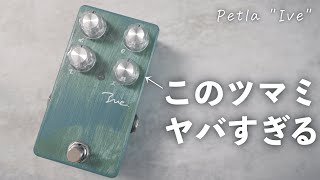 petla ive(シリアル#101)