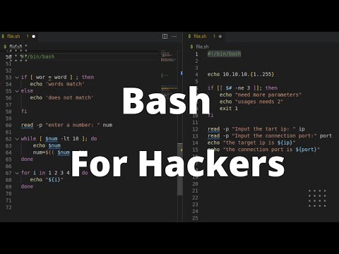 Bash for Bug