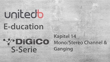 DiGiCo - S Serie #14 Mono-Stereo Ganging
