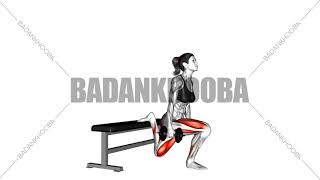 646-اسکوات اسپلیت با دمبلdumbbell bulgarian split squat