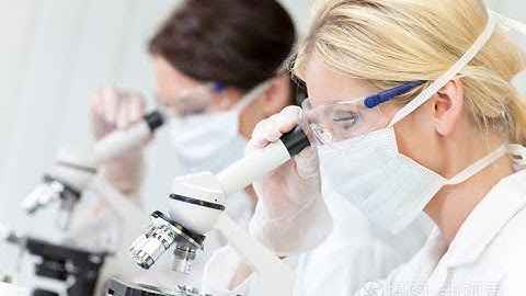 Vision under the Swift Stellar #microscope , see the micro world amazing #microscopy Swift Daily