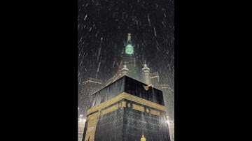 سورة آل عمران | الشيخ ماهر المعيقلي ♥️