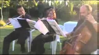 Trio de Cuerda Casas Ibañez Albacete Bodas Bautizos Comuniones