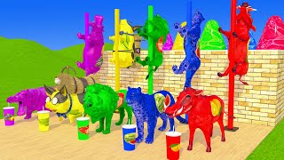 Choose Right Drink with warthog Hyenas piglet lion Hippo Wild Animals Games Fountain Crossing Game