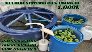 MELHOR SISTEMA COM CAIXA DE 1.000L PARA CRIAÇÃO DE PEIXE PASSO-A-PASSO COMO FAZER