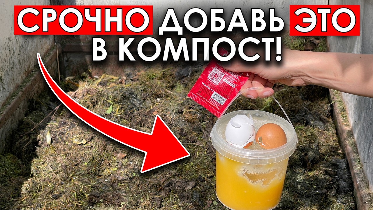 99% огородников делают компост НЕПРАВИЛЬНО и огород болеет! Единственный правильный способ показываю