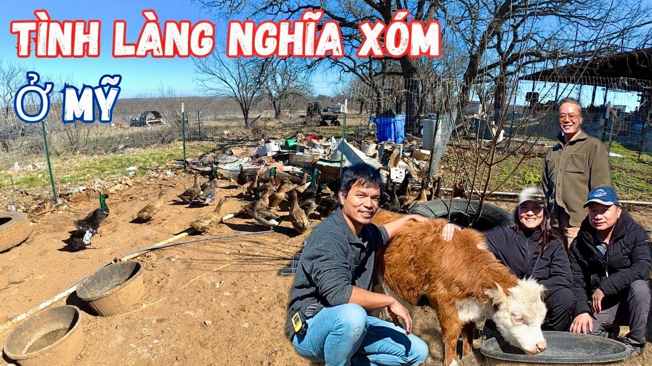 Cuộc Sống Tình Làng Nghĩa Xóm Của Người Việt Ở Mỹ 