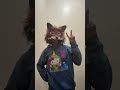What did I do? #therianthropy #theriangear #therian #fox