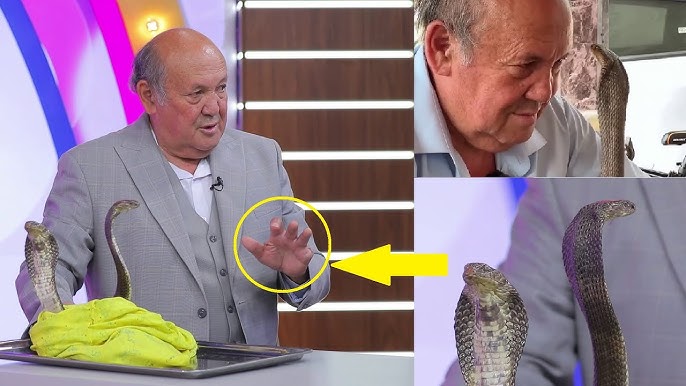 Chayon odami charchamaydi va jinsiy istaklarga toymaydi. Chayon odami charchamaydi va jinsiy istaklarga toymaydi.