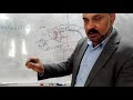 مادة الاحياء الصف الخامس الاحيائي الفصل الثالث الاخراج في الفقريات 