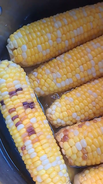 sweet CORN #satisfying #shortvideo  #shorts