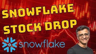 Why Snowflake Stock Crashed After A Strong Earnings Report