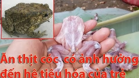 Ăn thịt cóc  có ảnh hưởng đến tiêu hóa của trẻ?