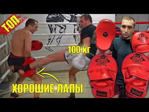 Лапы для Тайского Бокса и ММА. Кожанные лапы для отработки ударов Spirit of a Warrior